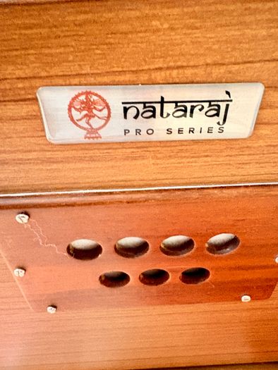 Professional Shruti