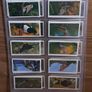 Full set of bird cigarette card's,  1976 black cat Image 2