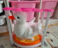pets alive duck