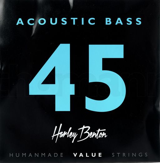 Acoustic Bass with strings