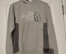 the north face hoodie