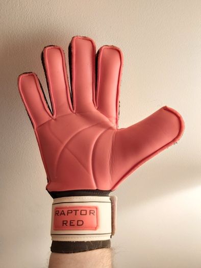 goalkeeper gloves