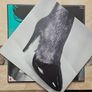 Rolling Stones LP (Irish) - Tattoo You Image 3