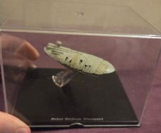 Star Wars "Rebel Medium Transport" Model
