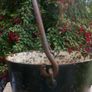 Antique Copper Pot or Planter Image 4