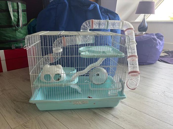 Hamster cage