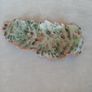 Forest Fern Image 8
