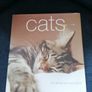 Cats: The Ultimate Cat Lover's Guide Image 9