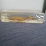 Halloween Insects In Glass Big Clearout, Make An Offer Image 6