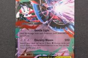 Mega Floette Ex 035/086 Chaos Rising Holo Double Rare Pokemon TCG