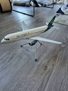 Rare Aer Lingus Corporate A320 Model - 1:100 New Livery Relaunch Edition (2018)