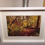 Glenbower Woods Image 10