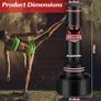 Punching Bag with Stand Adult 70 Free Standing Boxing Bag with Boxing Gloves and Electric Air Pump, Women Men Stand Kickboxing Bags for Training MMA Muay Thai Fitness Beginners Image 3