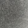 Carpet and underlay 555x342cm Image 4