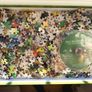 David Attenborough Micro Monsters Jigsaw and DVD Image 2