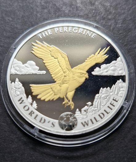 Wildlife 1 oz silver The PEREGRINE FALCON 2024 Congo 20 Fr Gold Gilded coin