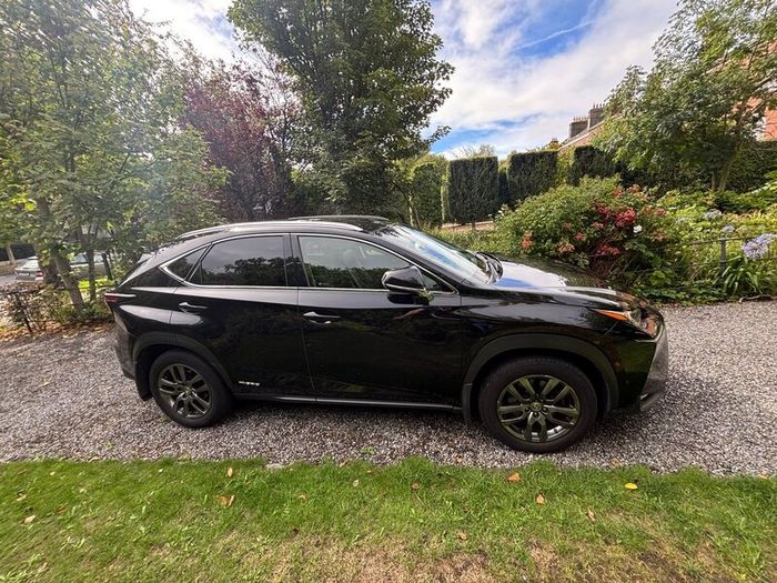 Lexus NX 300h