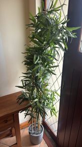 Fake plant