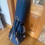 Ortega Banjo Case Image 2