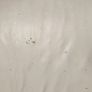 Incanto Divani Cream Italian Leather Sofa Image 6