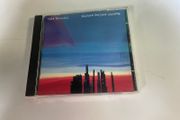Edie Brickell Picture Perfect Morning CD