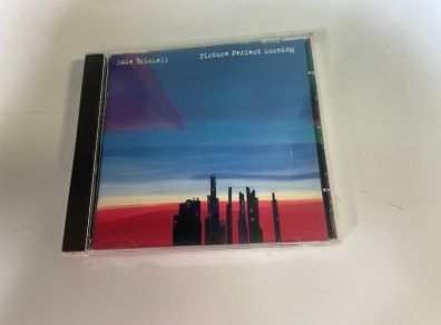 Edie Brickell Picture Perfect Morning CD