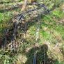 Poly tunnel frames Image 4