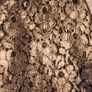 T Tahari Gold Metallic Dress Size 12 Image 2