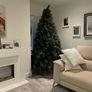 8ft Nebraska Christmas Tree Excellent Condition Image 3
