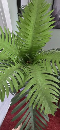 artificial palm (pot not included)