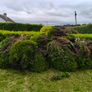 Free Firewood Image 2