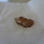 Pretty Polly Leg Shimmer for sale Image 2