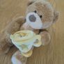Cuddly "Gant" Brown Bear with Gold Star Winning Cup for Sale Image 4