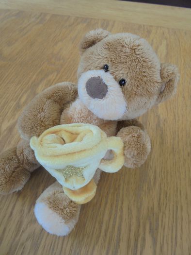 Cuddly "Gant" Brown Bear with Gold Star Winning Cup for Sale
