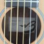 Breedlove Passport C250/CMe-T Image 3