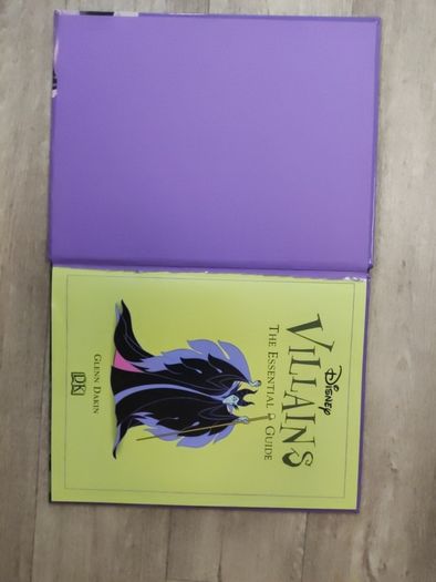 Disney Villains Book