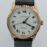 Vintage Juvenia  Automatic  Swiss Watch Image 10