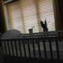 Cot Image 6