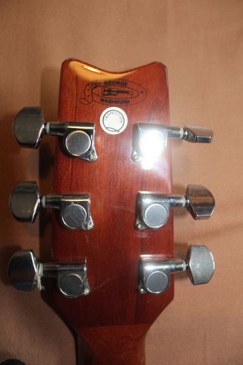 Washburn D10SCE Cutaway Acoustic Guitar