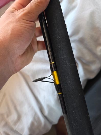 Boat rod
