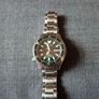 Citizen Promaster "Fugu" Image 3