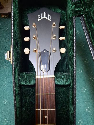 Guild D20 E Acoustic Guitar