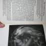 The Myths of Greece and Rome , H.A.Guerber Image 8