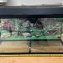 Vivarium / Reptile Enclosure Image 2
