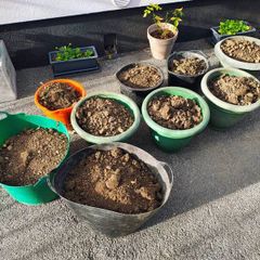Top Soil