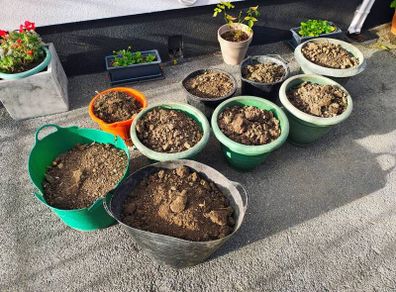 Top Soil