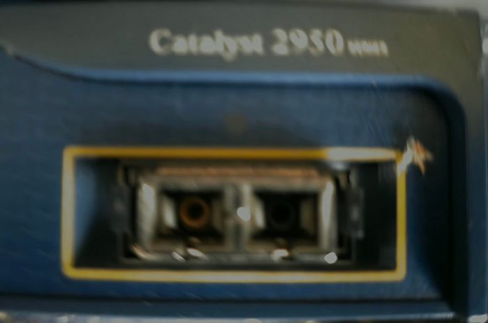 cisco