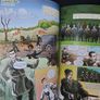 SALE!  MICHAEL COLLINS - Ireland's Rebel Son by David Butler and Mario Corrigan Image 5