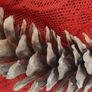 Large Pine cones Image 2