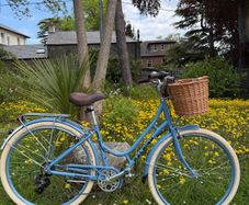 Raleigh Willow Ladies Bike Excellent Condition Size M
